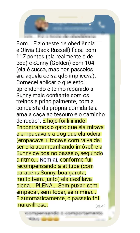 feedback_dogsdemais_1