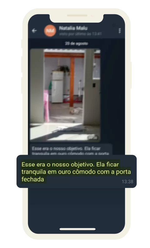 feedback_dogsdemais_3