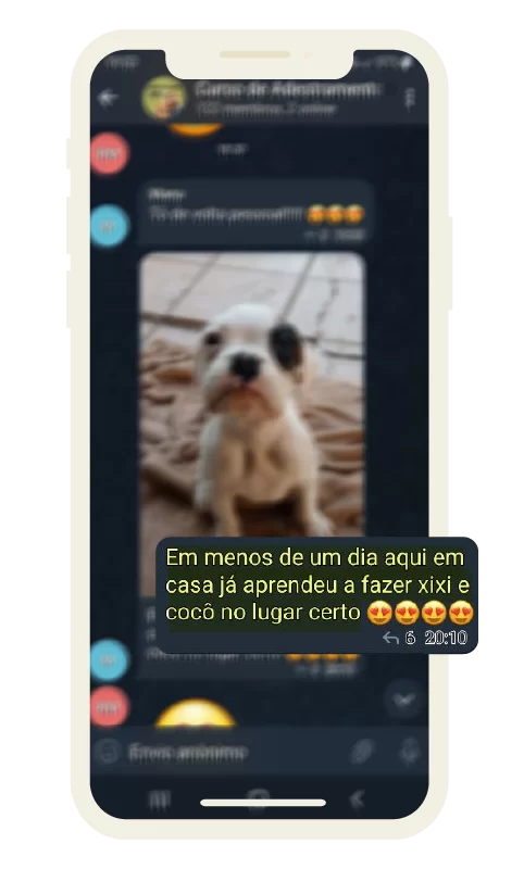 feedback_dogsdemais_5