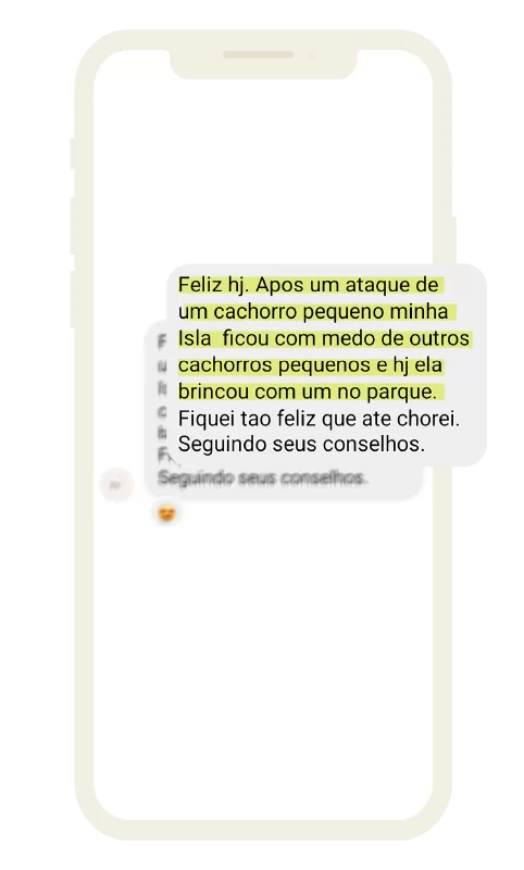 feedback_dogsdemais_6