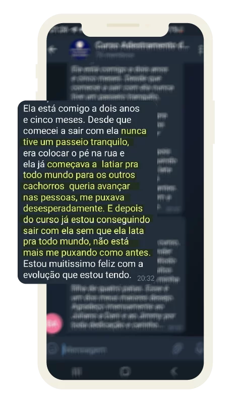 feedback_dogsdemais_8