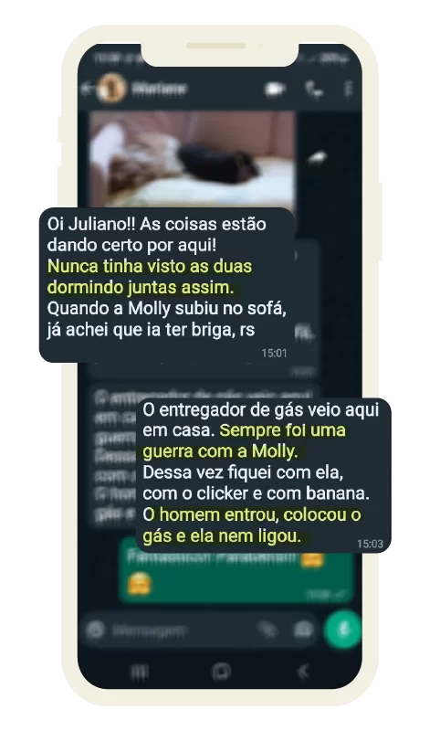 feedback_dogsdemais_9